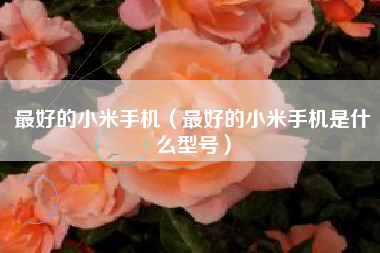 最好的小米手机（最好的小米手机是什么型号）