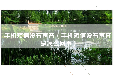 手机短信没有声音（手机短信没有声音是怎么回事）