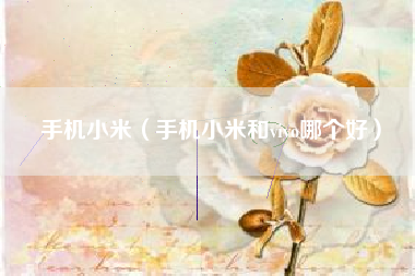 手机小米（手机小米和vivo哪个好）