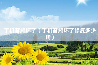 手机音频坏了（手机音频坏了修复多少钱）