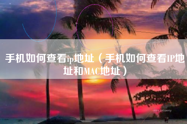 手机如何查看ip地址（手机如何查看IP地址和MAC地址）
