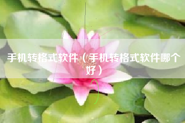 手机转格式软件（手机转格式软件哪个好）