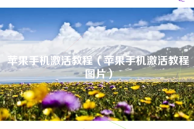 苹果手机激活教程（苹果手机激活教程图片）