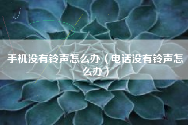 手机没有铃声怎么办（电话没有铃声怎么办）