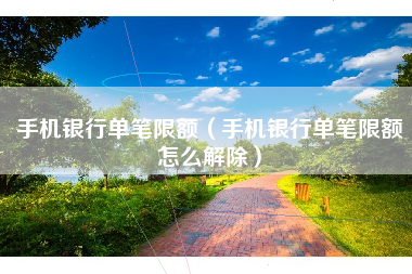 手机银行单笔限额（手机银行单笔限额怎么解除）