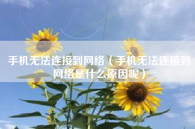 手机无法连接到网络（手机无法连接到网络是什么原因呢）