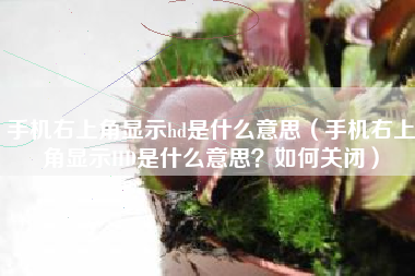 手机右上角显示hd是什么意思（手机右上角显示HD是什么意思？如何关闭）