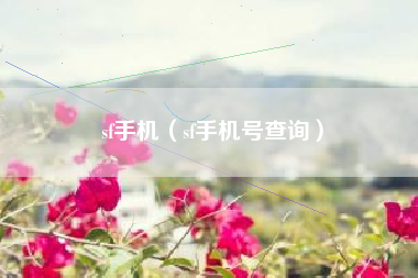 sf手机（sf手机号查询）