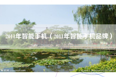 2011年智能手机（2011年智能手机品牌）