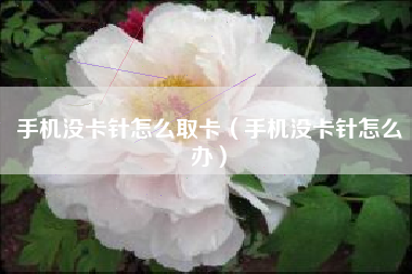 手机没卡针怎么取卡（手机没卡针怎么办）