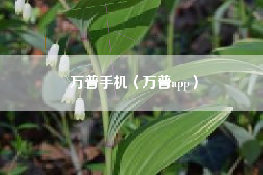 万普手机（万普app）