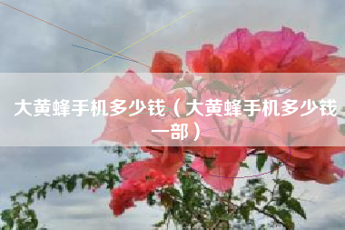 大黄蜂手机多少钱（大黄蜂手机多少钱一部）