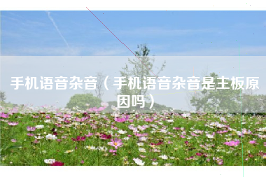手机语音杂音（手机语音杂音是主板原因吗）