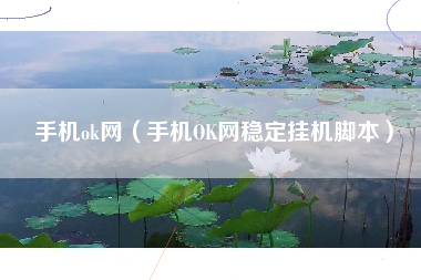 手机ok网（手机OK网稳定挂机脚本）