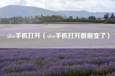 xlsx手机打开（xlsx手机打开数据变了）