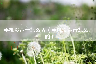 手机没声音怎么弄（手机没声音怎么弄的）