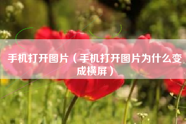手机打开图片（手机打开图片为什么变成横屏）