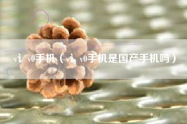 v讠v0手机（v讠v0手机是国产手机吗）