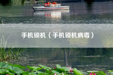手机锁机（手机锁机病毒）