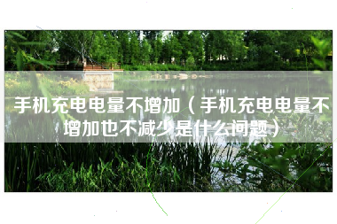 手机充电电量不增加（手机充电电量不增加也不减少是什么问题）