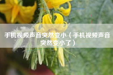 手机视频声音突然变小（手机视频声音突然变小了）