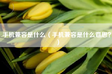 手机兼容是什么（手机兼容是什么意思？）