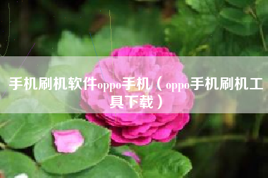 手机刷机软件oppo手机（oppo手机刷机工具下载）