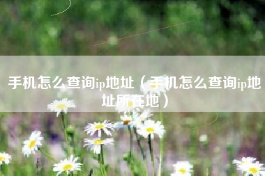 手机怎么查询ip地址（手机怎么查询ip地址所在地）