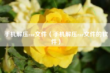 手机解压rar文件（手机解压rar文件的软件）