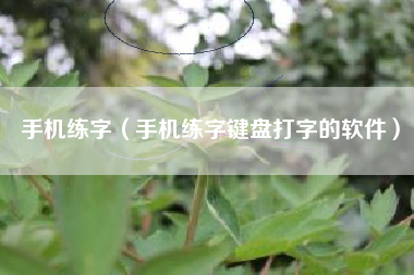 手机练字（手机练字键盘打字的软件）