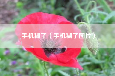 手机糊了（手机糊了图片）