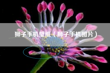 狮子手机壁纸（狮子手机图片）