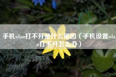 手机wlan打不开是什么原因（手机设置wlan打不开怎么办）