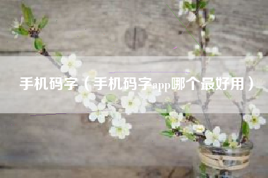 手机码字（手机码字app哪个最好用）