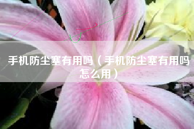 手机防尘塞有用吗（手机防尘塞有用吗怎么用）