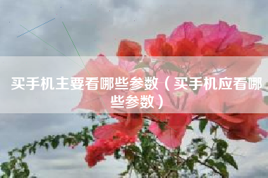 买手机主要看哪些参数（买手机应看哪些参数）