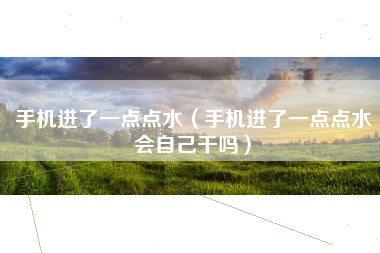 手机进了一点点水（手机进了一点点水会自己干吗）