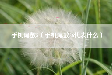 手机尾数5（手机尾数56代表什么）