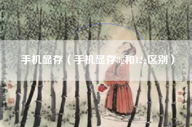 手机显存（手机显存8g和12g区别）