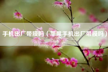 手机出厂带膜吗（苹果手机出厂带膜吗）
