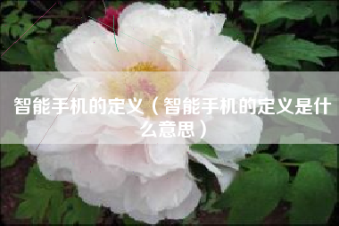 智能手机的定义（智能手机的定义是什么意思）