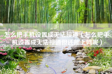 怎么把手机设置成无法接通（怎么把手机设置成无法接通但还能上网呢）