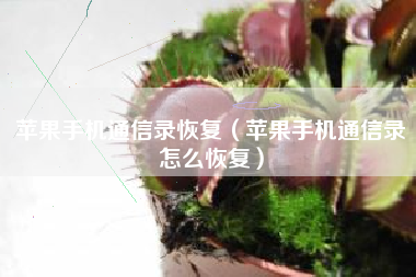 苹果手机通信录恢复（苹果手机通信录怎么恢复）