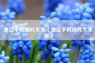 金立手机图片大全（金立手机图片大全集）