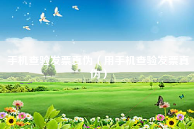 手机查验发票真伪（用手机查验发票真伪）