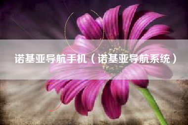 诺基亚导航手机（诺基亚导航系统）