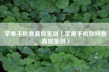 苹果手机查真假鉴别（苹果手机如何查真假鉴别）