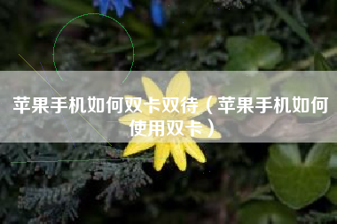 苹果手机如何双卡双待（苹果手机如何使用双卡）