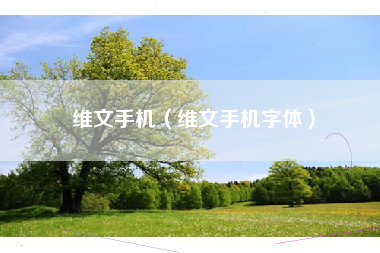 维文手机（维文手机字体）