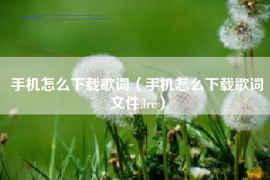 手机怎么下载歌词（手机怎么下载歌词文件.lrc）